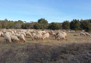 Percorso Marcia Saint-Antonin-sur-Bayon - ste victoire jacky vers puyloubier - Photo