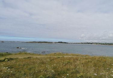 Tocht Stappen Lampaul-Ploudalmézeau - dunes 3 moutons 2020 - Photo