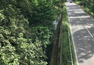 Tour Zu Fuß Wachtberg - Verbindungsweg - Photo