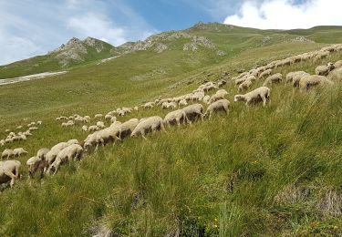 Tocht Stappen Valloire - 73 - VALLOIRE  - Photo