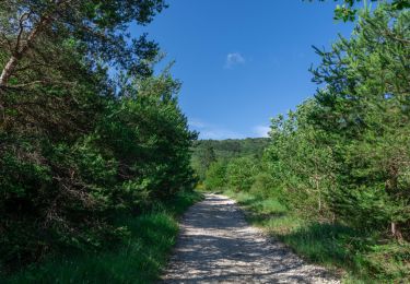 Trail Walking Espeluche - 2022-10-20_15h14m37_GPX-Bois-Jamot-Espeluche - Photo