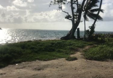 Randonnée Marche Sainte-Anne - La boucle  - Photo