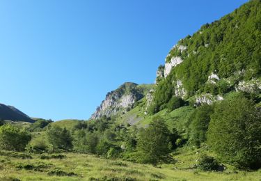 Trail Walking Aydius - Lac de Montagnon et pic Montagnon d'Iseye - Photo