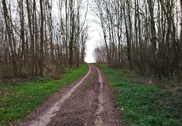 Trail Walking Saint-Georges-sur-Cher - Saint-Georges-sur-Cher - Vallée Pitrou et Moulins - 6.9km 65m 1h35 - 2023 12 27 - Photo