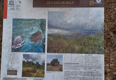 Trail Walking Aiglun - AIGLUN.  Le vieil Aiglun , sommet du Puy o l s - Photo