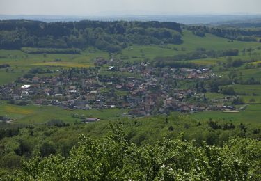 Randonnée A pied Kalbach - Extratour Haubentour - Photo