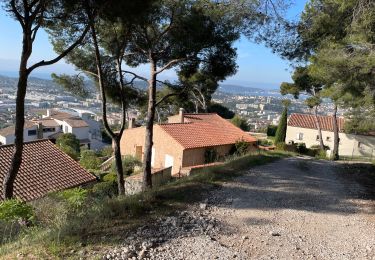 Trail Walking Toulon - Autour du Mont Faron - Photo