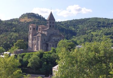 Randonnée Marche Saint-Nectaire - TOUR DU PUY D' ERAIGNE DEPUIS LE CAMPING 