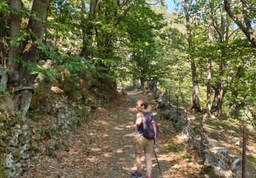 Trail Walking Vallées-d'Antraigues-Asperjoc - antraigues la violle - Photo
