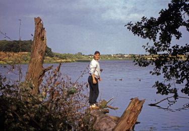 Randonnée A pied  - Rundt om Nordborg Sø - Photo