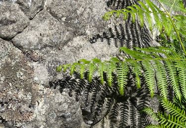 Trail Walking Fontainebleau - Boucle facile des brigands  - Photo