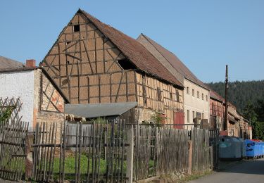 Randonnée A pied Bad Berka - grüner Balken Tannroda - Photo