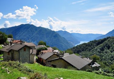 Randonnée A pied Pigra - Corniga - Alpe di Colonno - Photo