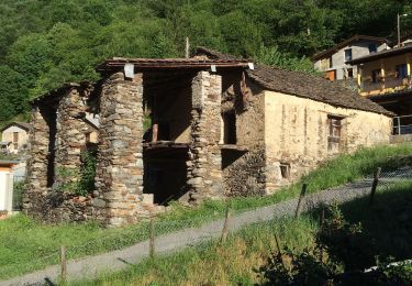 Tour Zu Fuß Bellinzona - Camerino-Isone - Photo