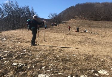 Tour Wandern Vassieux-en-Vercors - Vassieux 03 03 22 - Photo