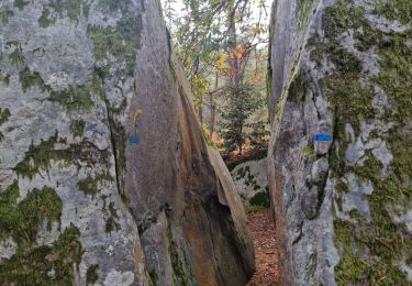 Trail Walking Fontainebleau - Fontainebleau - Sentier des carriers - Photo
