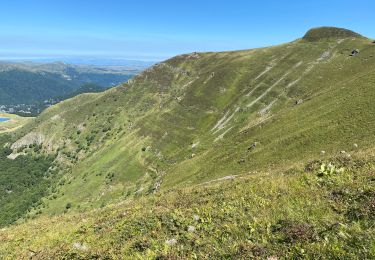 Excursión Senderismo Pailherols - Pailherols  route de la montagne, plomb du Cantal - Photo