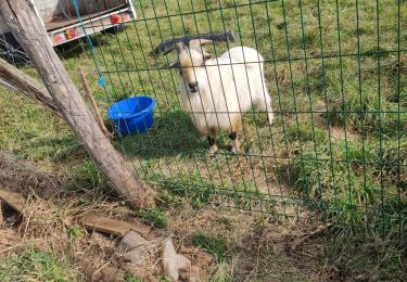 Tocht Stappen Vic-le-Comte - langlade - Photo