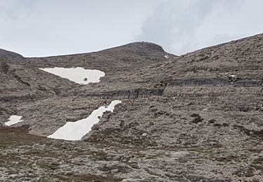 Excursión Senderismo  - Ascension du Psilotoris 2454 m depuis le Plateau de Nida (Rother n°41) - Photo