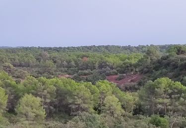 Tocht Stappen Roquebrune-sur-Argens - Blavet selon François  - Photo