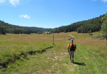 Trail Walking Vassieux-en-Vercors - Crête des Gagères et Font d'Urle - Photo