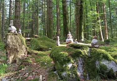 Trail Walking Xonrupt-Longemer - 28-05-22 Longemer vers cascade et chemin des Dames - Photo