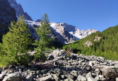 Trail Walking La Grave - Oisans 2020 : AR La Grave - lac de Puy Vachier - Col des Ruillans (glacier de Girose).ori - Photo