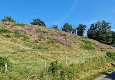 Tocht Stappen Solignac - pont rompu (solignac) - Photo