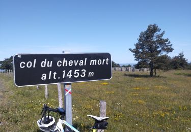 Randonnée Vélo de route Châteauneuf-de-Randon - col du cheval mort - Photo