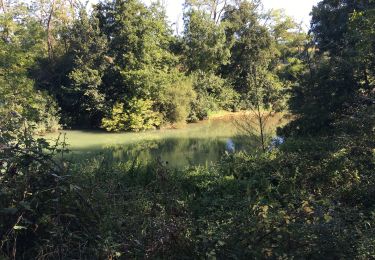 Excursión Senderismo Calmont - Domaine des Oiseaux: 14819 - Photo