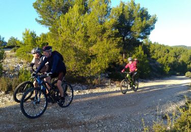 Tour Mountainbike Roquefort-la-Bédoule - Jeudaï-LaBedoule-20déc18 - Photo