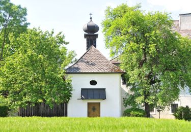 Randonnée A pied Offenhausen - Vom Grünbach zum Rosenberg - Photo