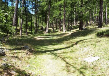 Trail Walking Embrun - La cabane de Séyères - Photo