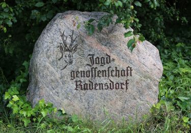 Tocht Te voet Lübben (Spreewald) - Wanderweg Radensforf-Briesener See - Photo