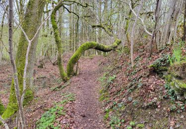 Trail Walking Vresse-sur-Semois - Orchimont 250423 - Photo