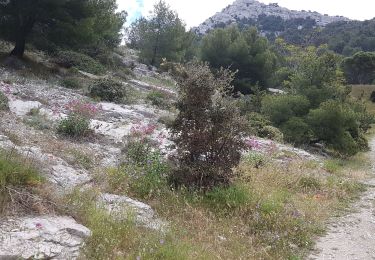 Percorso Marcia Marsiglia - De Madrague à la calanque de Marseilleveyre - Photo