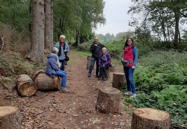 Tocht Stappen Lobbes - La sapiniere 17 10 20 - Photo