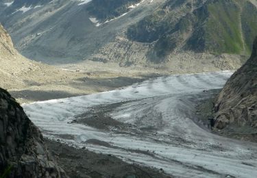 Tocht Te voet Chamonix-Mont-Blanc - Plan de I'Aiguille - Montenvers - Photo