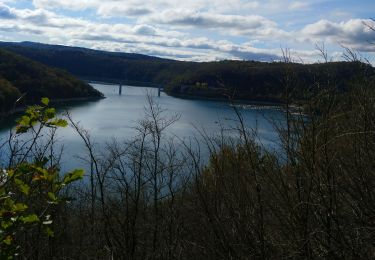 Trail Walking La Tour-du-Meix - surchauffant St Christophe  - Photo