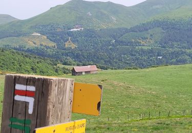 Tour Wandern Murat-le-Quaire - 220522 Murat le Quaire / lac de Guéry - Photo