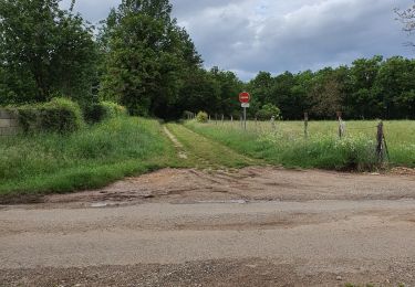 Randonnée Marche Gintrac - repérage Taillefer - Photo