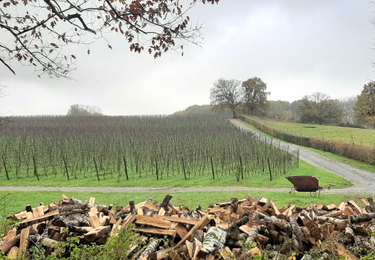 Trail Walking Genappe - RF-BB-09 - Bousval - Grande Boucle - 2025-03-09 - Photo