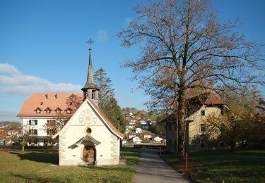 Percorso A piedi St. Ursen - Schürmatt - Etiwil - Photo