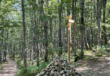 Tocht Stappen Saint-Alban-les-Eaux -  St-Alban-les-Eaux - La Goutte Sarra - Photo