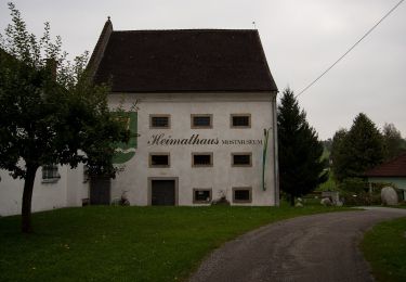 Tocht Te voet Sankt Marienkirchen an der Polsenz - Weberbartlweg - Photo