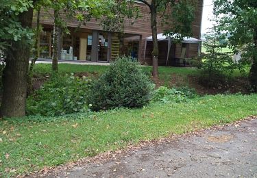 Tour Zu Fuß Vielsalm - Balade Ferme Lamberty - Photo