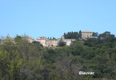 Tour Wandern Blauvac - blauvac - Photo