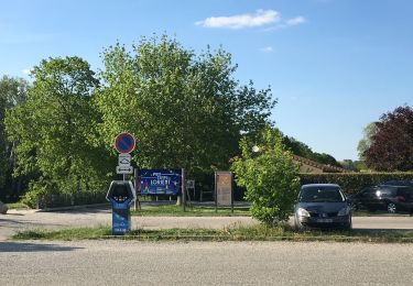 Tocht Stappen Montéléger - Le parc de Lorient ( Montéléger) 2019 - Photo