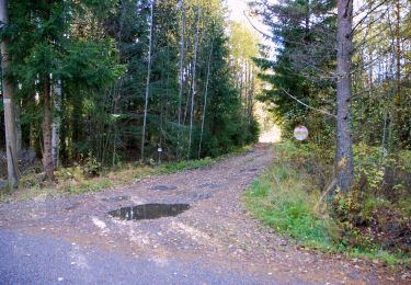 Trail On foot Espoo - Keskuspuiston kuntorata - Photo