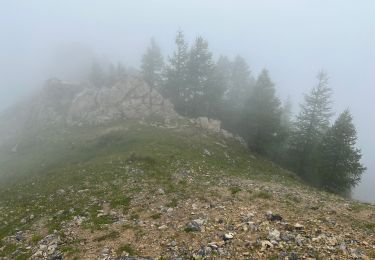 Tour Wandern Roure - Mont Gravières - Photo